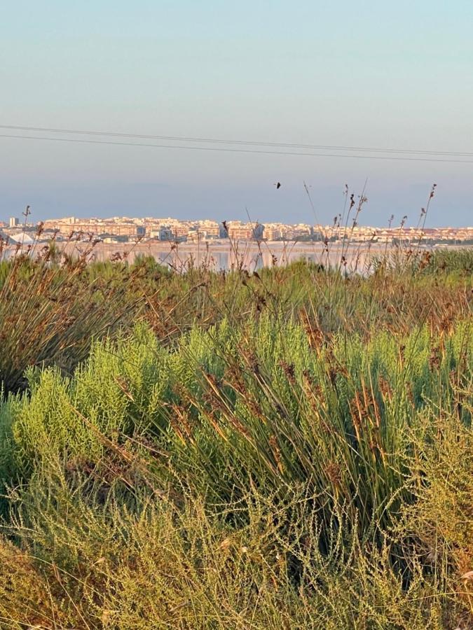Apartamento Exclusivo Y Central Torrevieja Esterno foto
